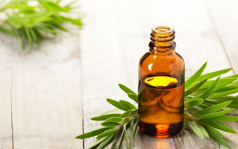 Can You Use Tea Tree Oil For Acne? (An Esthetician Explains)