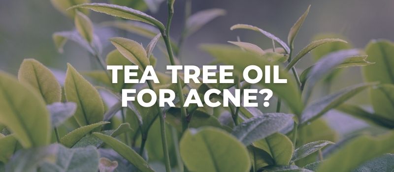 tea tree oil for acne